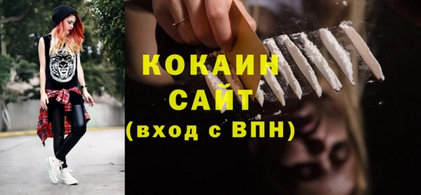 молекула духа Ельня