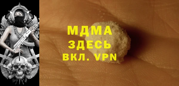молекула духа Ельня