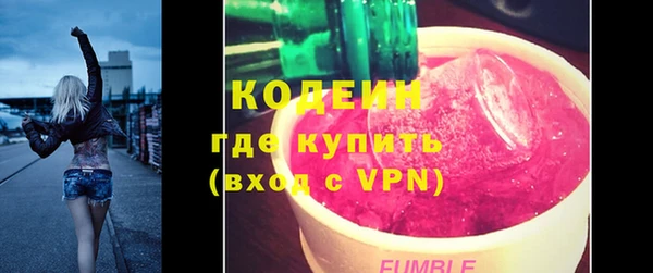 молекула духа Ельня