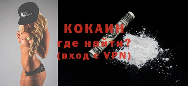 молекула духа Ельня