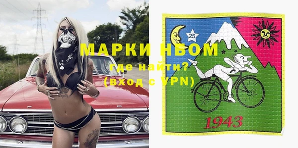 молекула духа Ельня