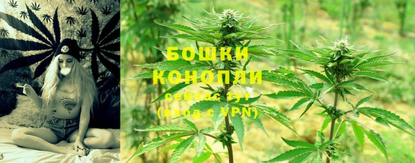 молекула духа Ельня