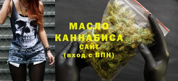 молекула духа Ельня