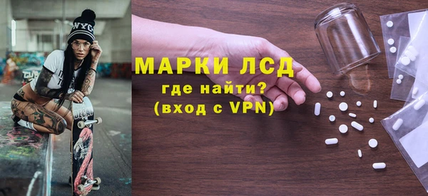 молекула духа Ельня