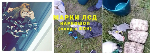 mdpv Елизово