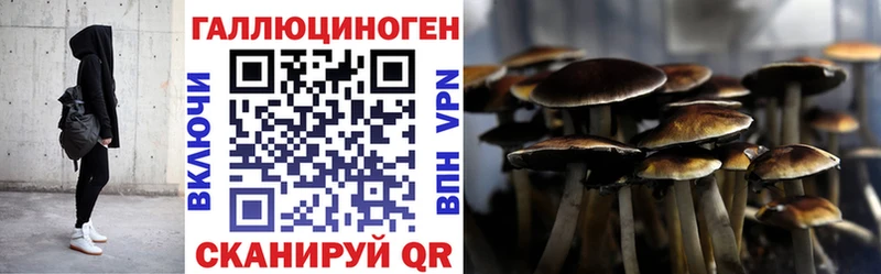 ссылка на мегу рабочий сайт Собинка Псилоцибиновые грибы прущие грибы